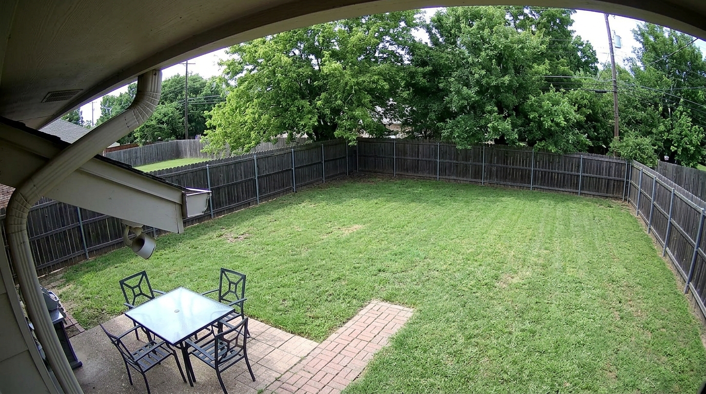Backyard Garden